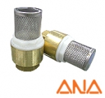 Spring Foot Valve