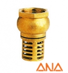 Foot Valve